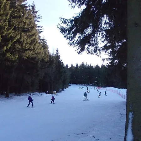 Sequoia Hahnenklee